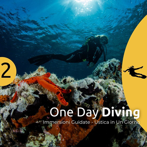 Ustica OneDay Basic Diving
